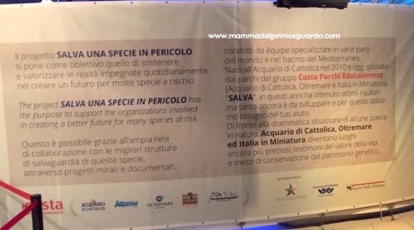 ACQUARIO DI CATTOLICA