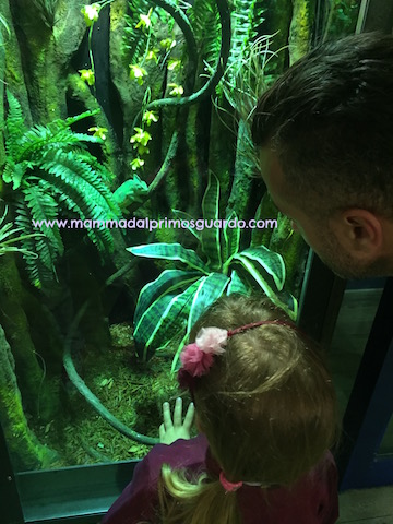 ACQUARIO DI CATTOLICA