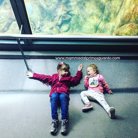ACQUARIO DI CATTOLICA
