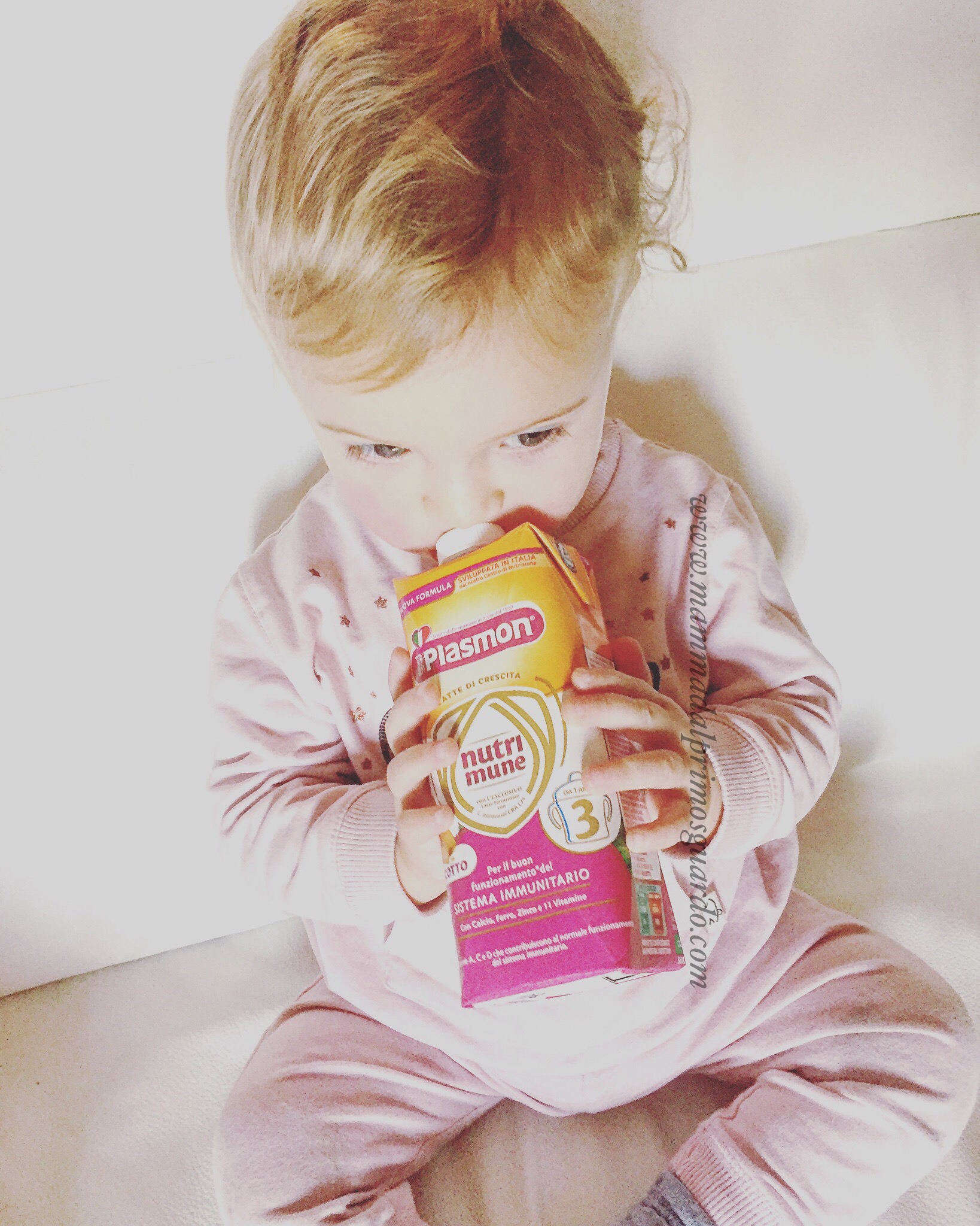 plasmon nutrimune