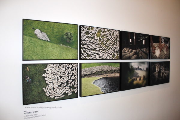 mostra casa zegna
