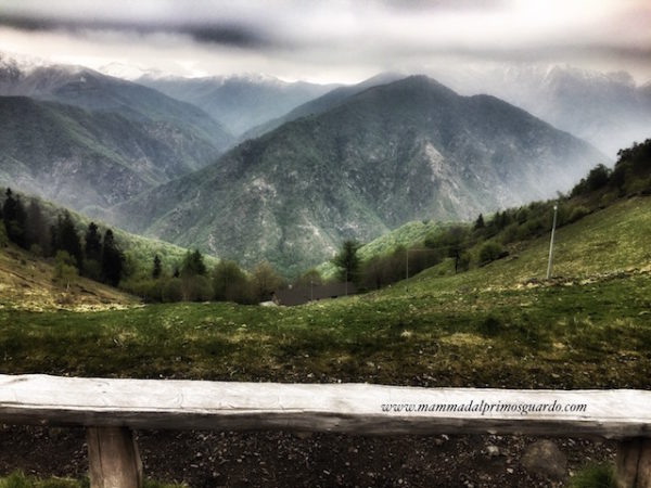 Oasi Zegna bosco del sorriso