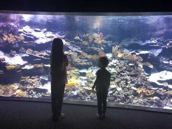 cosa vedere a parigi con i bambini