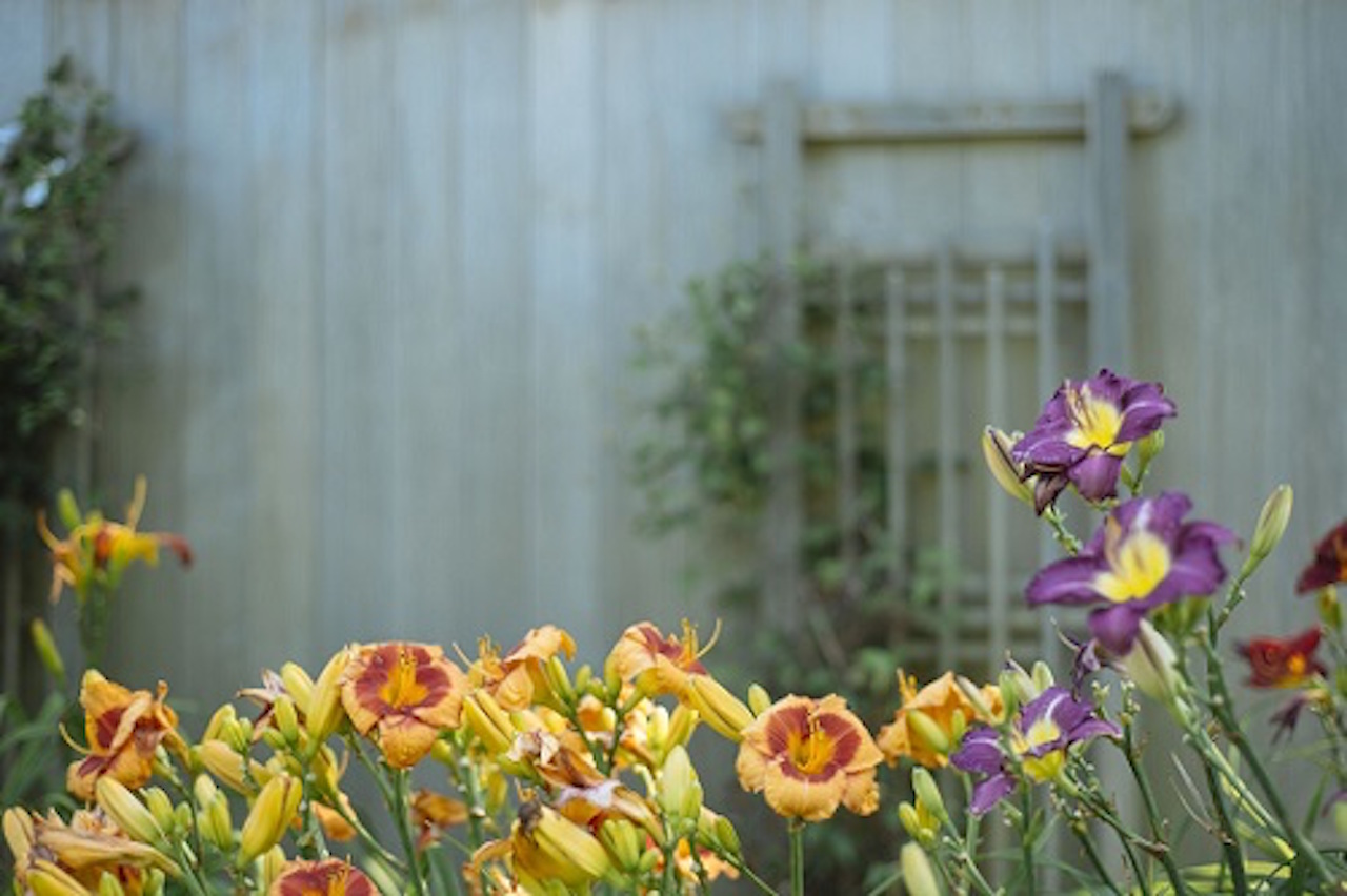 preventivi giardino
